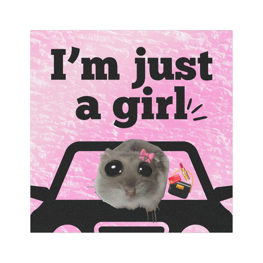 Aimants de voiture, "I'm just a girl" avec le mème de la souris